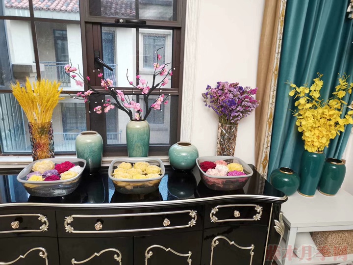600+月季品种——豪月的月季花园图赏 600+月季品种——豪月的月季花园图赏