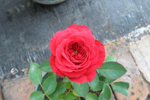 1587557381769710.jpg 002DP5c5gy6KupGBcBC24&690.jpg