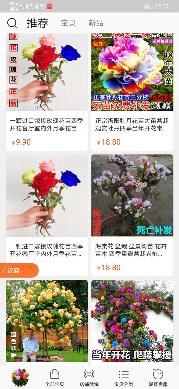七彩玫瑰又重出江湖,新手朋友们要注意啦 七彩玫瑰又重出江湖,新手朋友们要注意啦