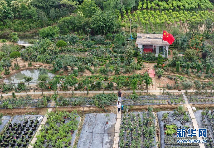 (图片故事)(8)新疆夫妇在江苏 学种月季谋致富