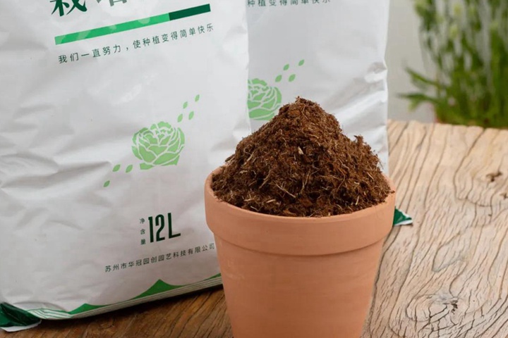 高成活率的月季高压繁殖方法 高成活率的月季高压繁殖方法