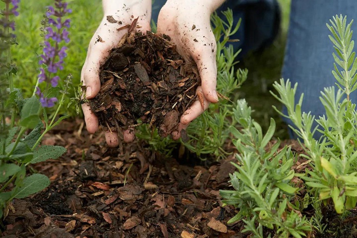 1594988399417546.jpg