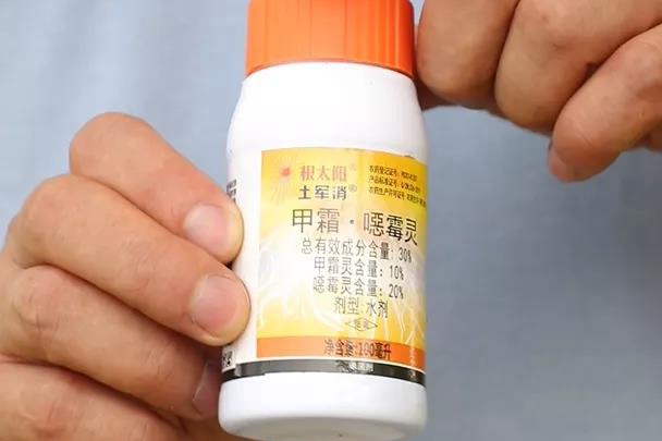 月季换盆后的旧土不要扔,这样处理还能用! 月季换盆后的旧土不要扔,这样处理还能用!