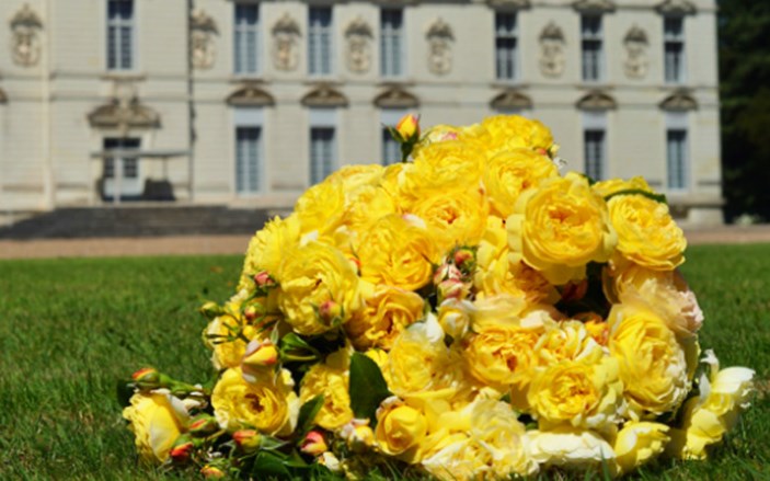 黄金城堡 黄金城堡Chateau de Cheverny