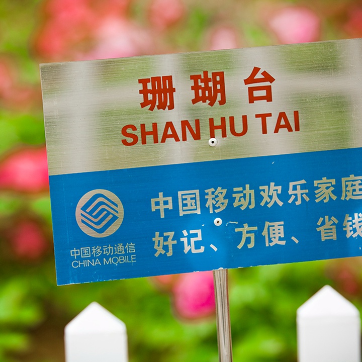 珊瑚台 珊瑚台