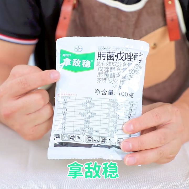 8月份月季养护需要注意些什么? 8月份月季养护需要注意些什么?