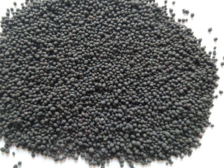 春季月季花施什么肥料 春季月季花施什么肥料