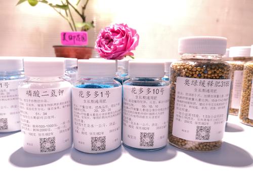 月季刚发芽施什么肥 月季刚发芽施什么肥