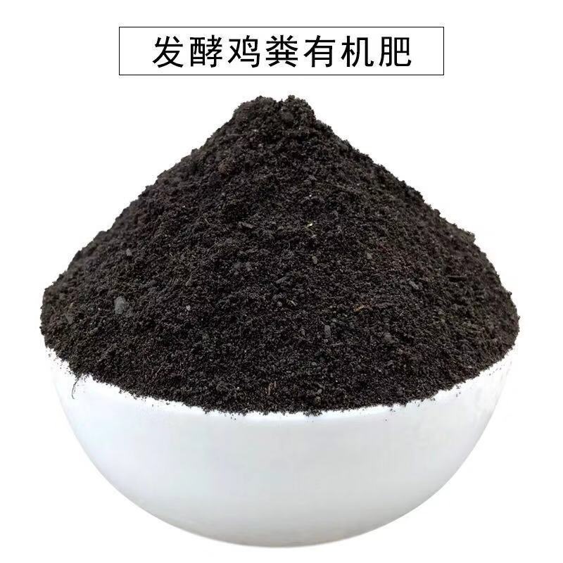 月季能施鸡粪肥吗 月季能施鸡粪肥吗