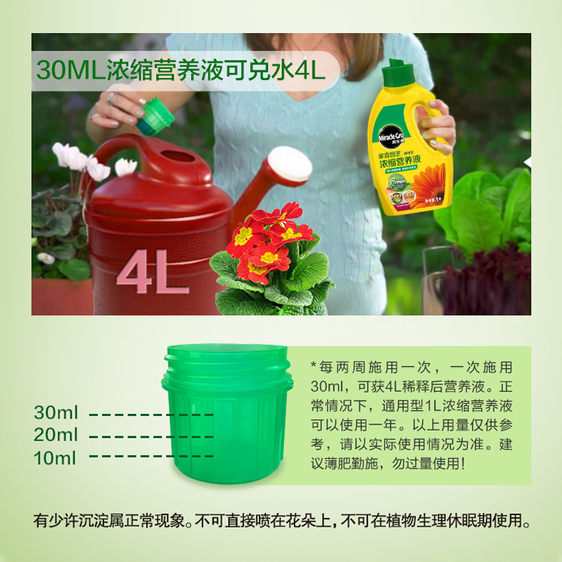 美乐棵 美乐棵