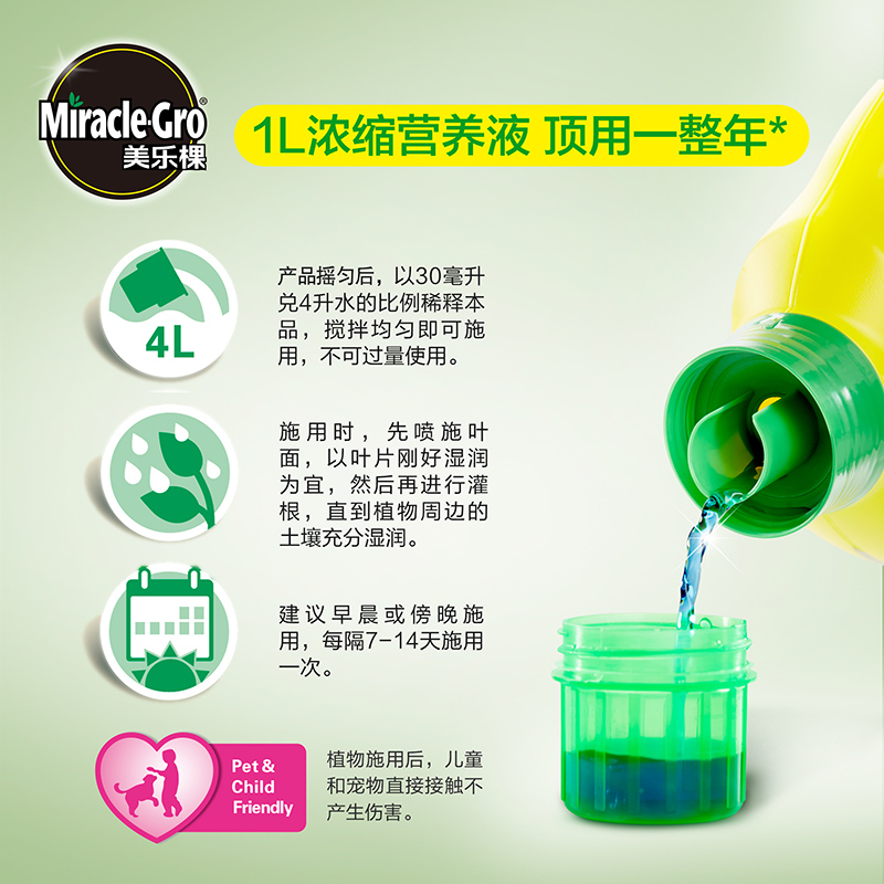 美乐棵 美乐棵