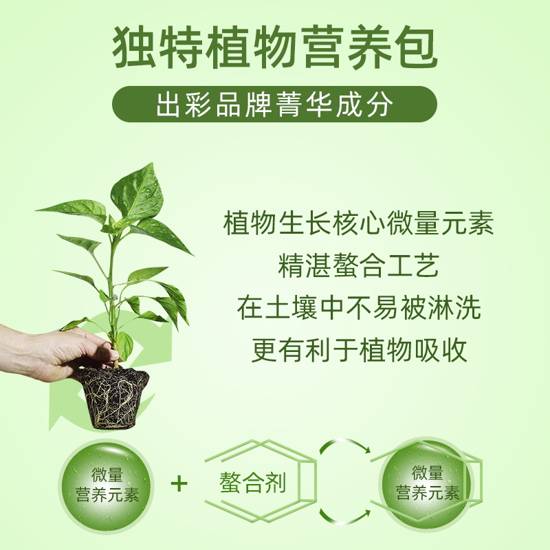 美乐棵 美乐棵