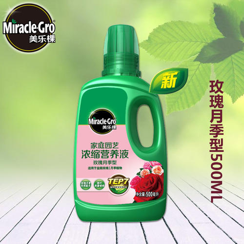 美乐棵 美乐棵