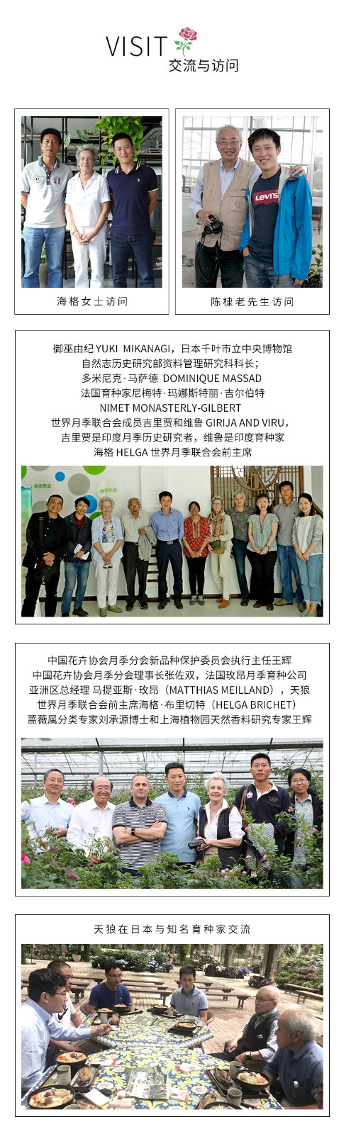天狼月季的品牌故事 天狼月季的品牌故事