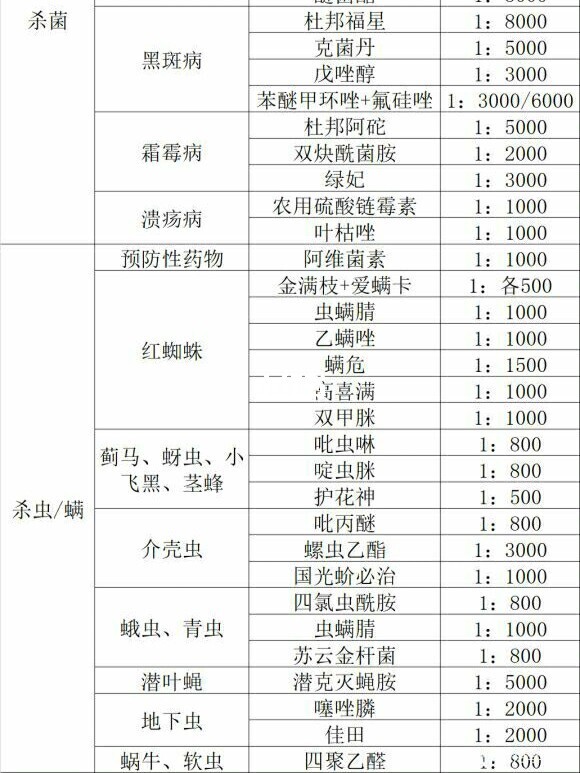 一张图详细教你怎么打造爆花盆栽月季 一张图详细教你怎么打造爆花盆栽月季