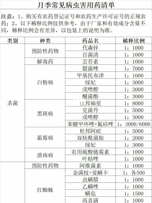 一张图详细教你怎么打造爆花盆栽月季 一张图详细教你怎么打造爆花盆栽月季