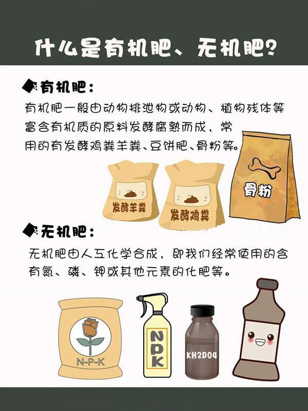 新手养花施肥指南 新手养花施肥指南