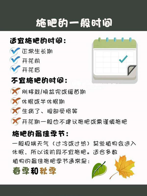 新手养花施肥指南 新手养花施肥指南