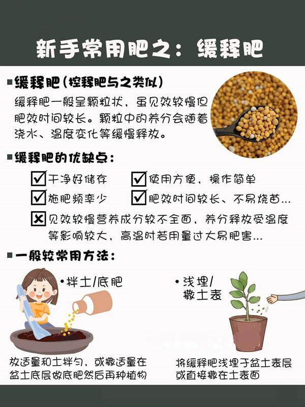 新手养花施肥指南 新手养花施肥指南