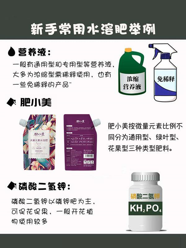 新手养花施肥指南 新手养花施肥指南