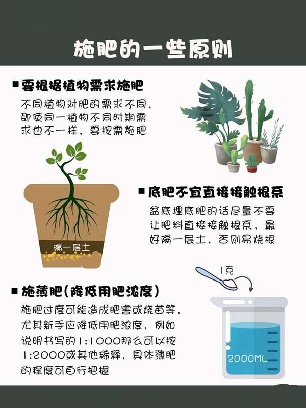 新手养花施肥指南 新手养花施肥指南