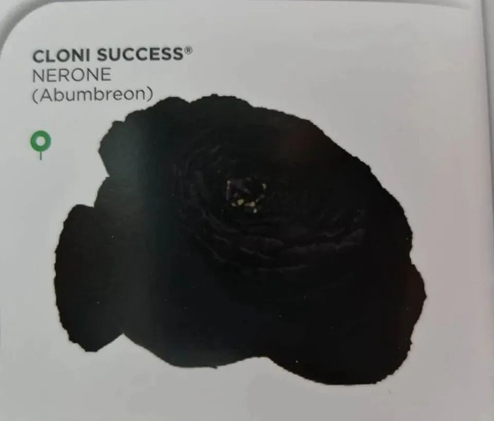 1603941360113673.jpg