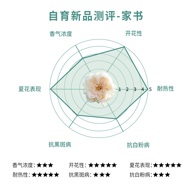 家书/翻译家 家书/翻译家
