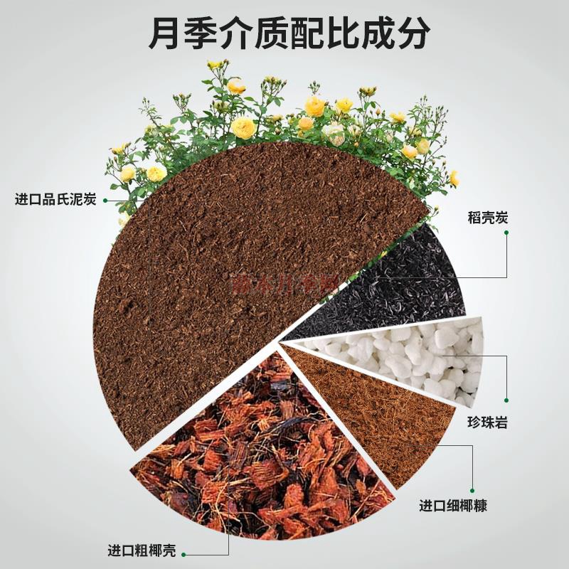 1615506175654267.jpg 泥炭配比.jpg