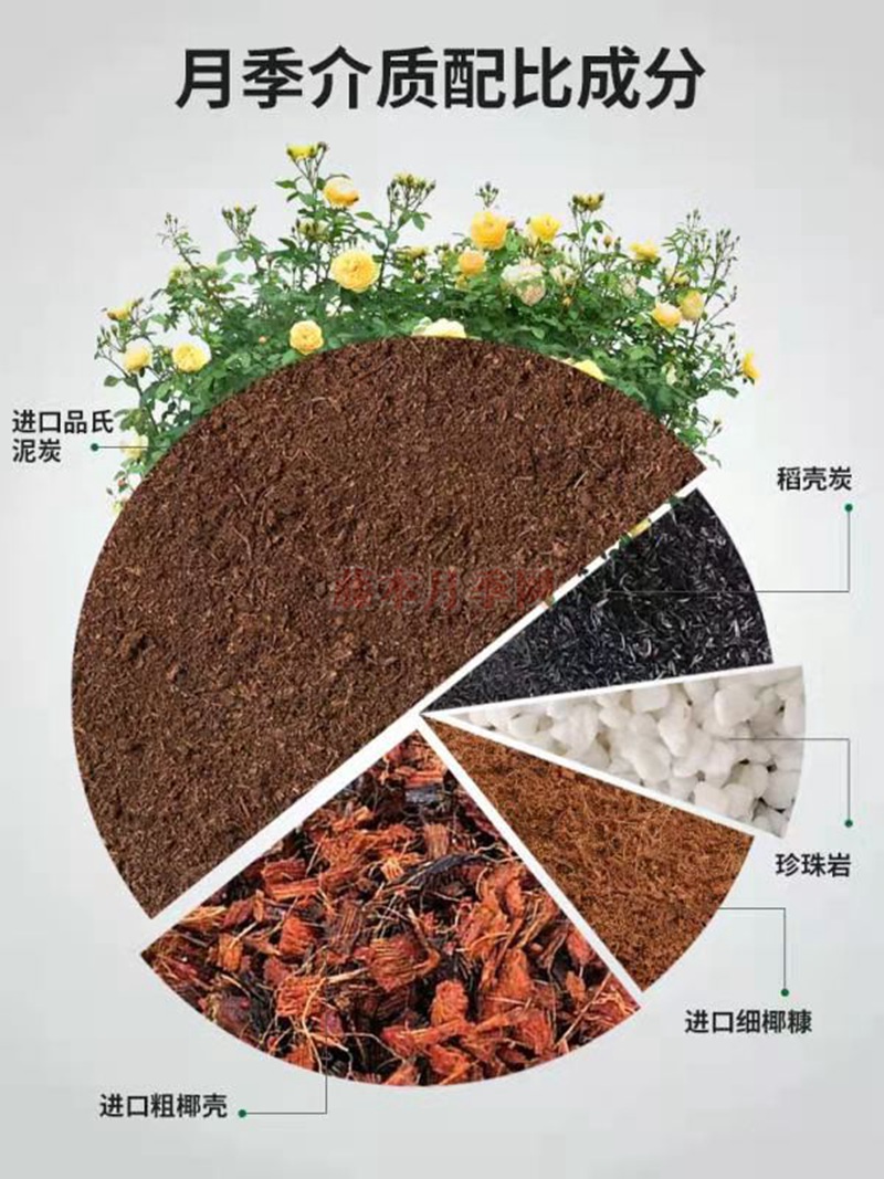 泥炭土和椰糠哪个好? 泥炭土和椰糠哪个好?