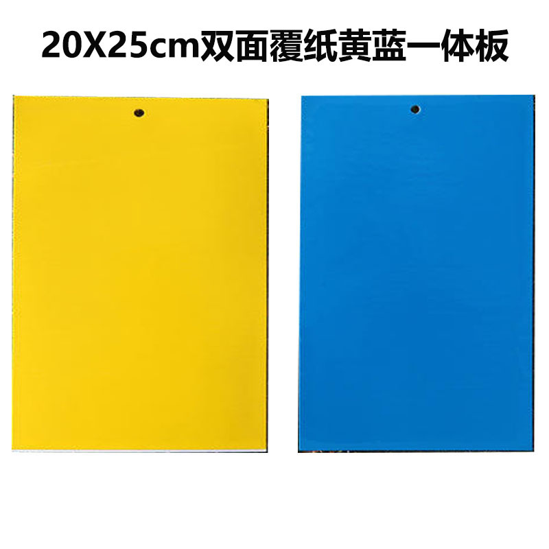 黄板和蓝板有什么作用,区别是什么? 黄板和蓝板有什么作用,区别是什么?