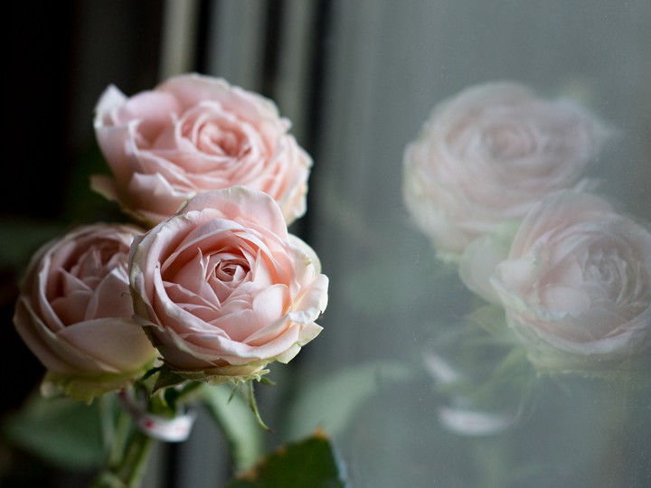 草地浪漫Lea Romantica 草地浪漫Lea Romantica