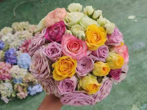 月季夏季如何开花更标准 月季夏季如何开花更标准