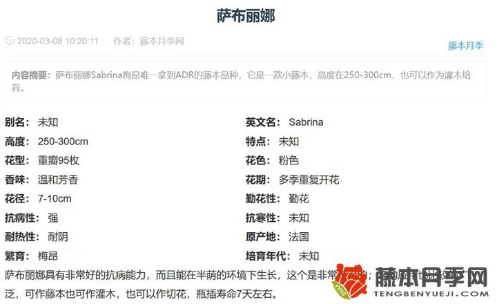 情归巴黎月季是奥斯汀的? 情归巴黎月季是奥斯汀的?
