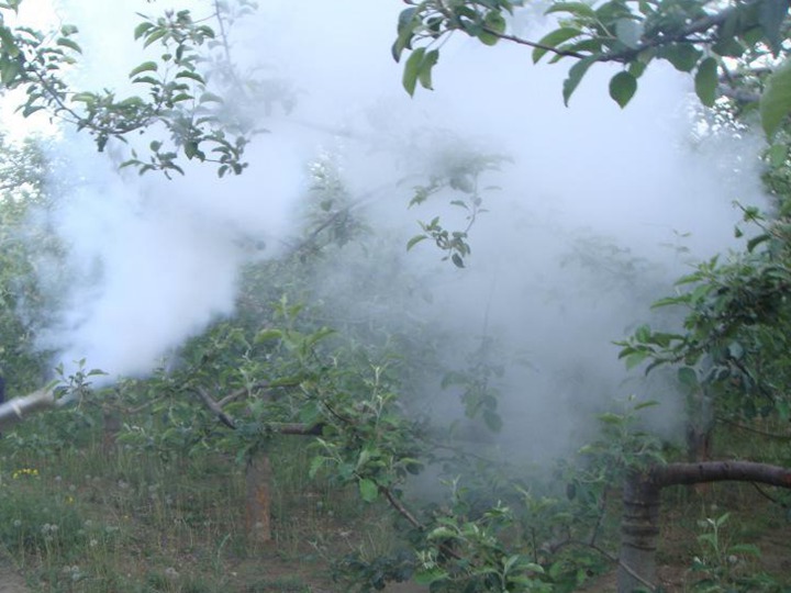 高温三伏天打药需注意些什么? 高温三伏天打药需注意些什么?