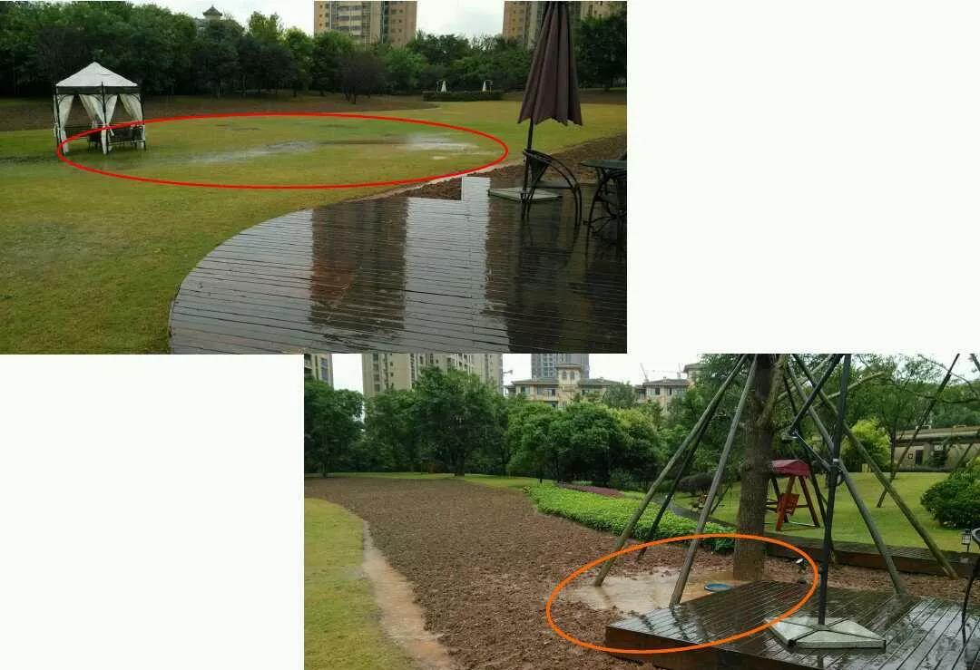 暴雨过后,草坪如何养护才能快速恢复生机? 暴雨过后,草坪如何养护才能快速恢复生机?