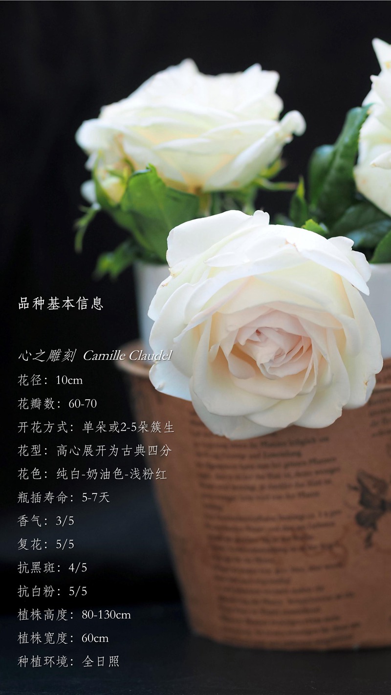 心之雕刻 Camille Claudel 心之雕刻 Camille Claudel