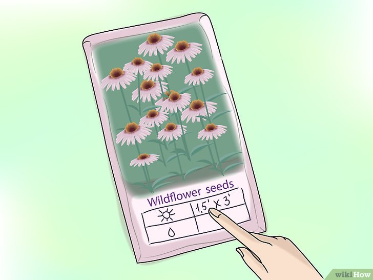 草花种子怎么播种,草花种植步骤详解 草花种子怎么播种,草花种植步骤详解