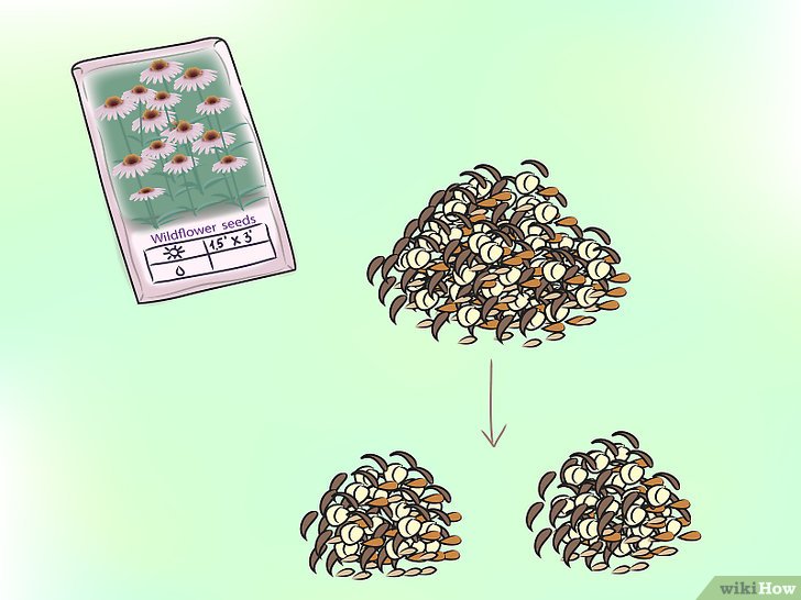 草花种子怎么播种,草花种植步骤详解 草花种子怎么播种,草花种植步骤详解