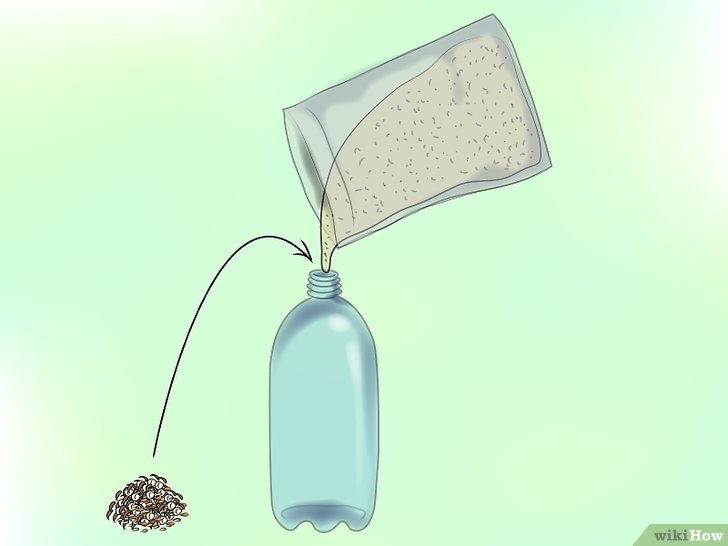 草花种子怎么播种,草花种植步骤详解 草花种子怎么播种,草花种植步骤详解
