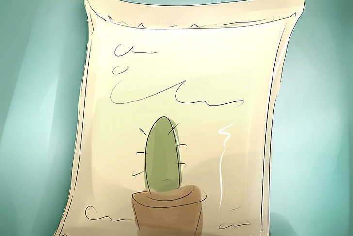 在家种植火龙果的方法和步骤 在家种植火龙果的方法和步骤