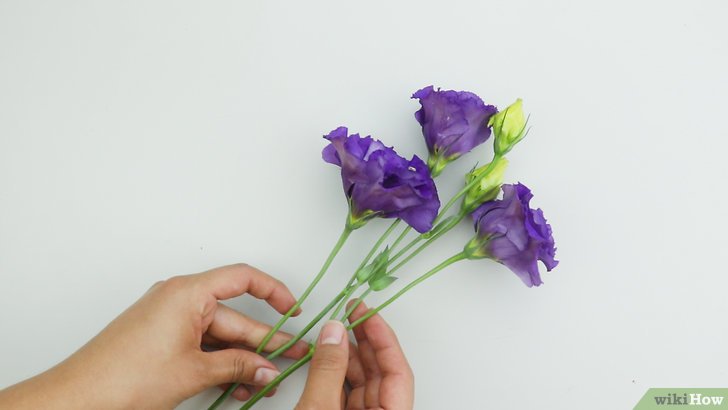 1629076226243789.jpg 制作干花的五种方法及详细步骤