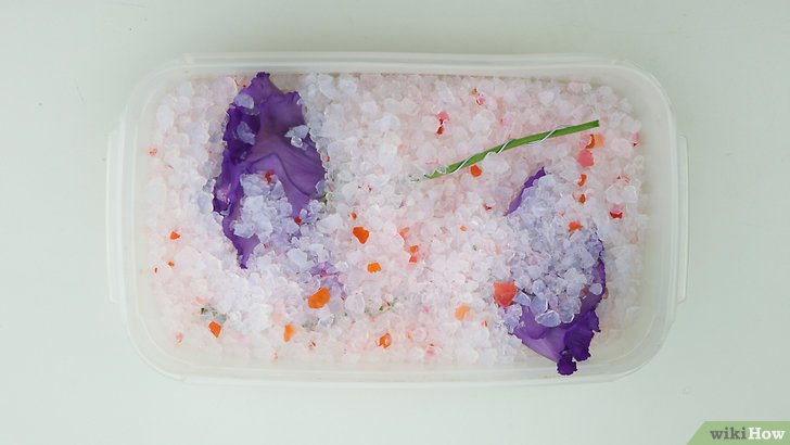 1629076226503553.jpg 制作干花的五种方法及详细步骤