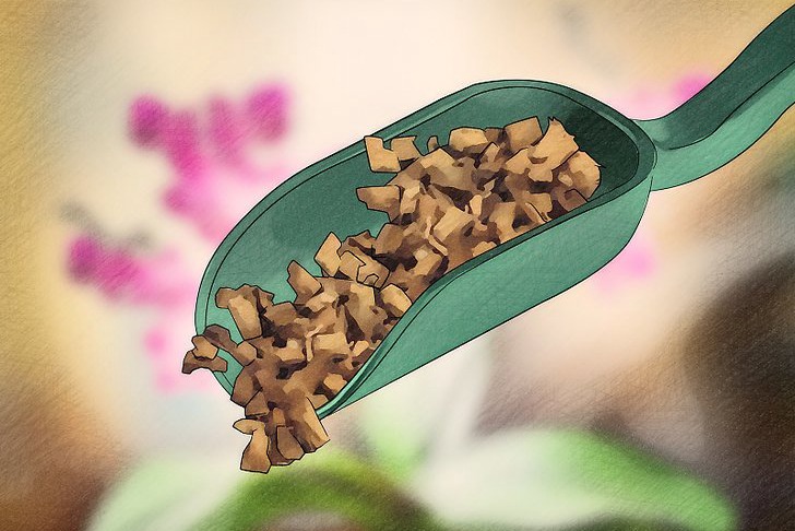 如何让兰花快速开花 如何让兰花快速开花