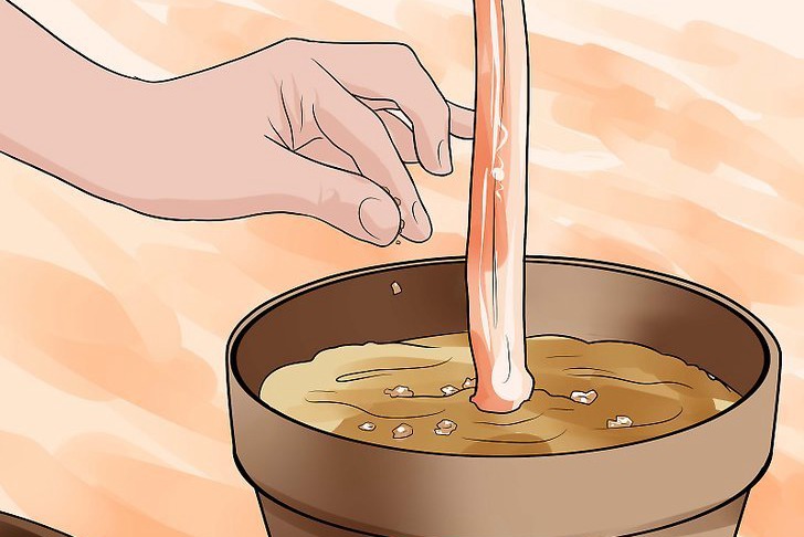 咖啡渣可以用来种花吗,怎么用? 咖啡渣可以用来种花吗,怎么用?