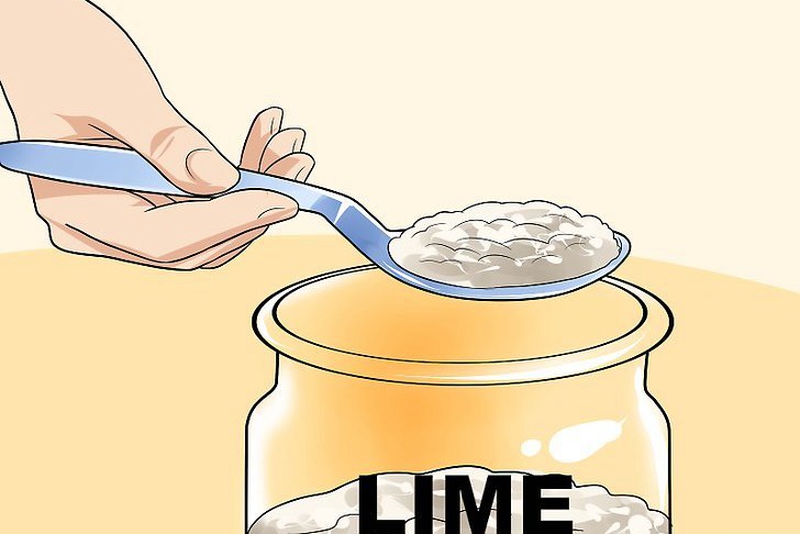 咖啡渣可以用来种花吗,怎么用? 咖啡渣可以用来种花吗,怎么用?