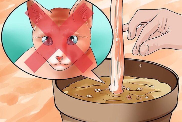 咖啡渣可以用来种花吗,怎么用? 咖啡渣可以用来种花吗,怎么用?