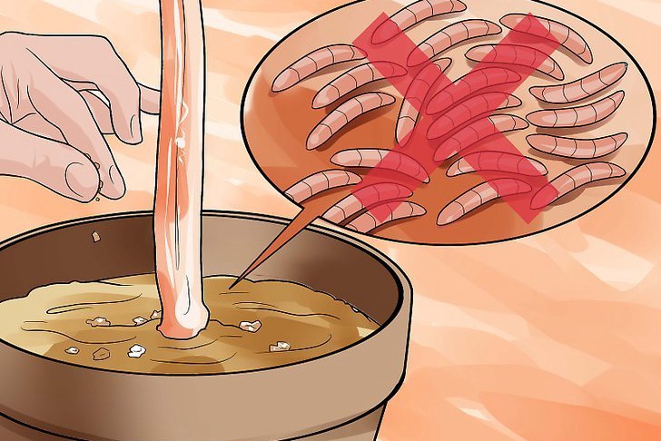 咖啡渣可以用来种花吗,怎么用? 咖啡渣可以用来种花吗,怎么用?