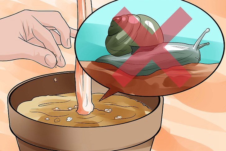 咖啡渣可以用来种花吗,怎么用? 咖啡渣可以用来种花吗,怎么用?