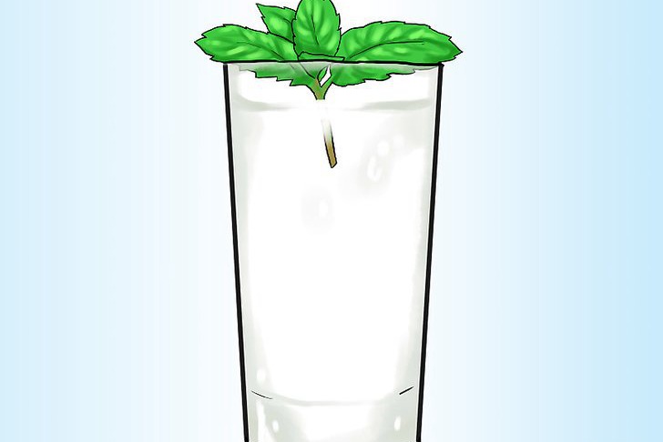 盆栽薄荷的种植方法及注意事项 盆栽薄荷的种植方法及注意事项