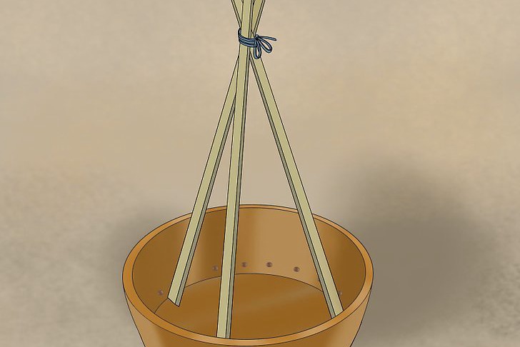 盆栽黄瓜的种植时间和种植方法 盆栽黄瓜的种植时间和种植方法